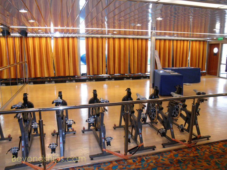 Cruise ship Veendam fitness center
