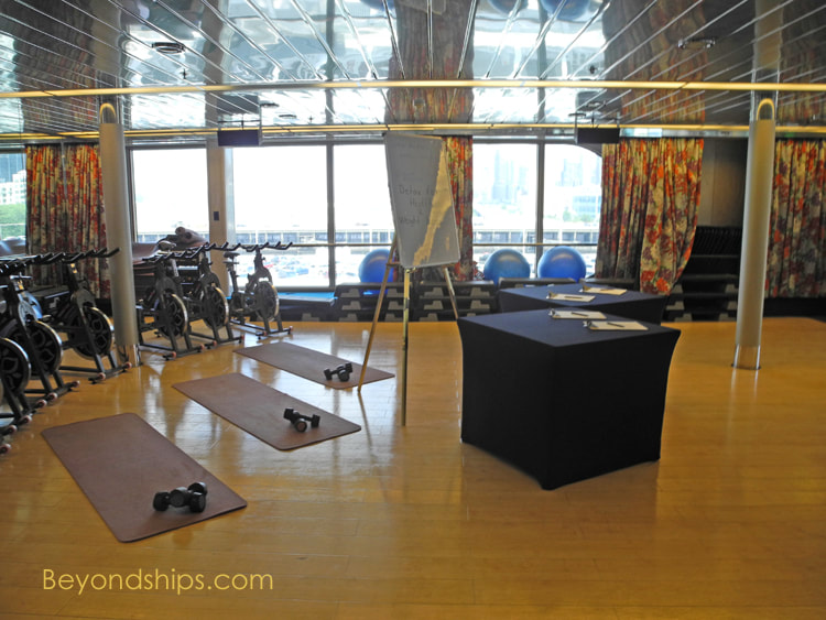 Cruise ship Rotterdam gym